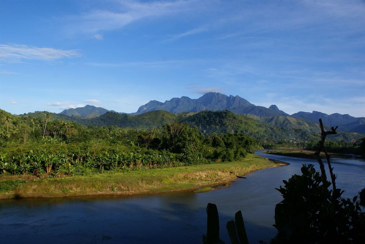 Dense eastern rainforest on the slopes of Marojejy, north-eastern Madagascar