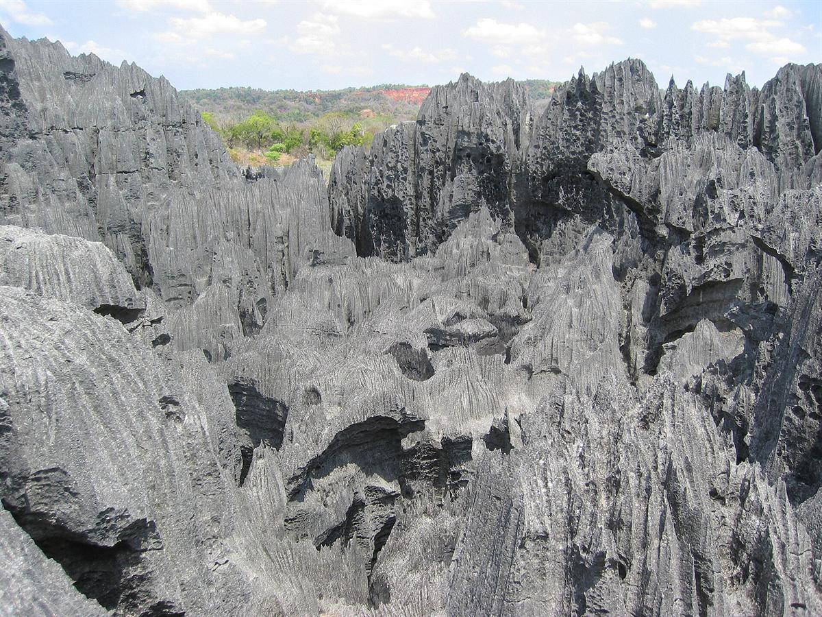 Limestone karst, the Tsingy