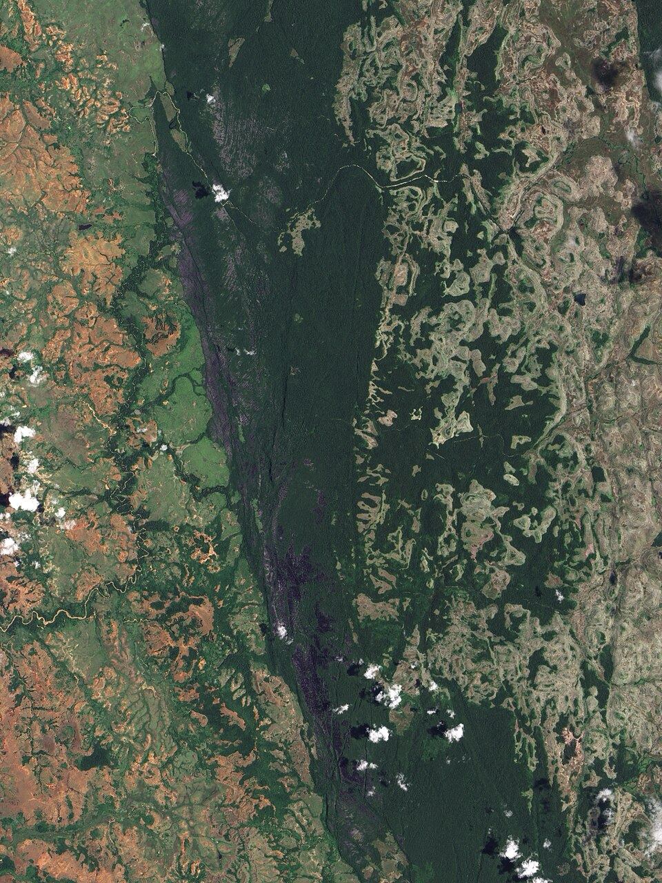 Satellite view of the Tsingy de Bemaraha limestone plateau in western Madagascar