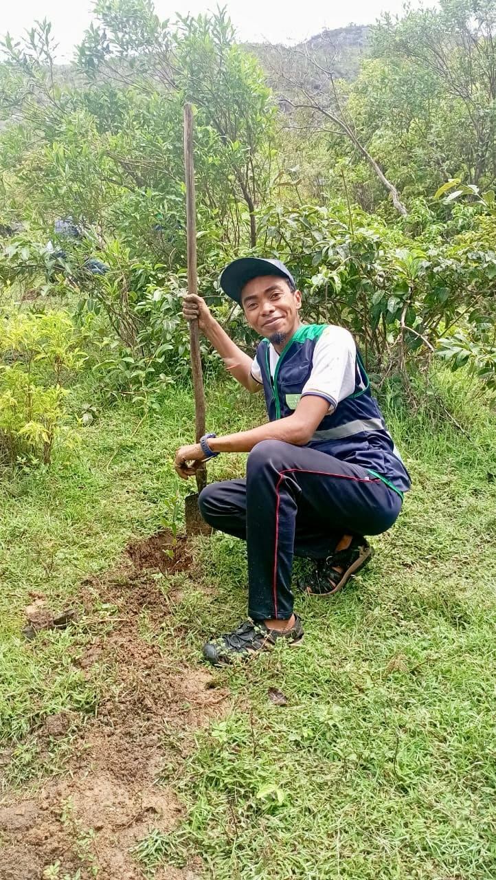 Planting in the field