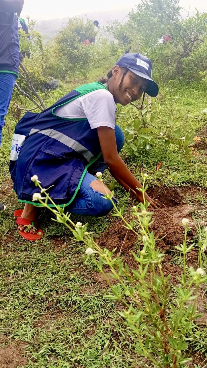Botanists collecting plant samples in the field