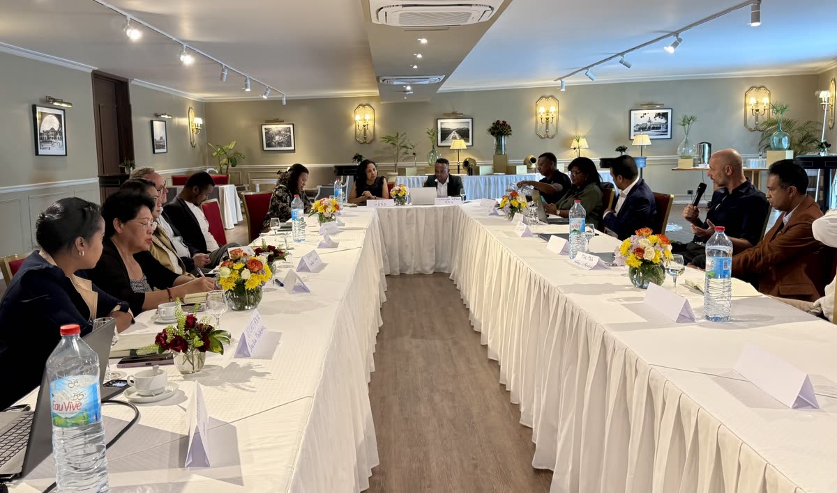 A working session with Madagascar's Ministry of Environment and Sustainable Development